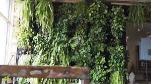 How To Create An Indoor Garden Wall