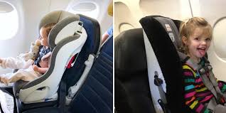 cat in an airplane seat