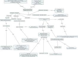 Concept Mapping to write a literature review Rubrics InformationR net