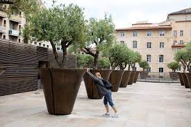 potted plants large outdoor planters