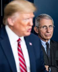 एन्क्रिप्शन के उदहारण | examples of encryption in hindi. Tensions With Trump Dr Anthony Fauci On Telling The Truth Abc News