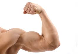 your biceps without weights