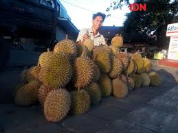 Check spelling or type a new query. 5 Cara Simpan Durian Agar Awet Untuk Oleh Oleh Dari Medan