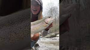 Paradise on Earth 🎣 #fishing #trout #satisfying #howto #nature #girl  #catch #fish #wildlife #video - YouTube