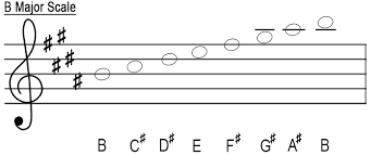 The low, strong, percussive notes of a bass's strings play a critical role in music. The Major Scales Treble Clef Music