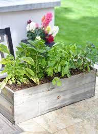 Simple Herb Garden Centerpieces Home