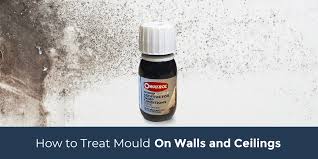 Treat Mould On Walls And Ceilings