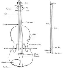 The most common way to hold a pick is with two fingers: Parts Of The Violin Suzuki Violin Lessons Jason Barber