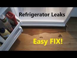 refrigerator leaks water try this easy