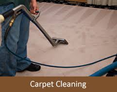 commercial carpet cleaning albany ny