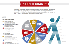 Recipe For A Safer Identity Is As Easy As Pii Cyberscout