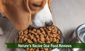 nature s recipe dog food reviews