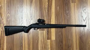 ruger 10 22 takedown complete