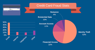 credit card fraud stats protect