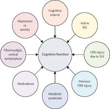 cognitive dysfunction in systemic lupus