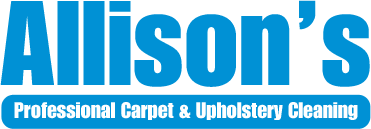 carpet and upholstery cleaner roswell