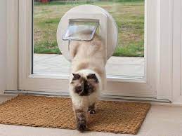 Cat Flaps Into Glass Doors Pet Flaps Uk
