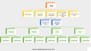 Chevron Corporation Organizational Chart Nigerian National