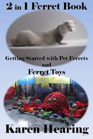 pet ferrets and ferret toys ebook