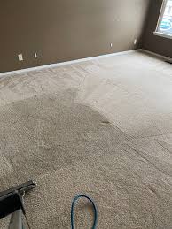 precise carpet cleaning reviews saint