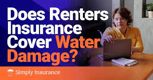 Will Renters Insurance Cover Water Damage gambar png