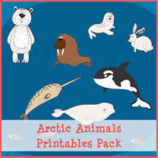 Meet 10 of the most interesting animals we've ever seen! Arctic Animals Printables Pack Gift Of Curiosity
