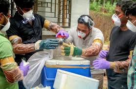 Epidemiology as the virus is thought to be spread from pigs to. How Kerala S Experience In Tackling Nipah In 2018 Will Help It Contain Coronavirus