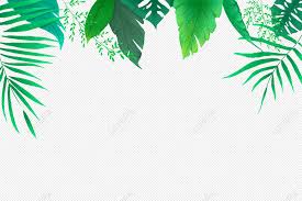 green leaves png images hd pictures
