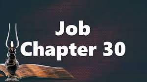 Job chapter 30