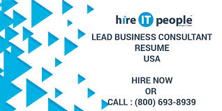 lead business consultant resume hire