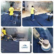 best sofa carpet cleaning services in