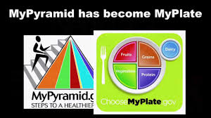 choose myplate lessons worksheets