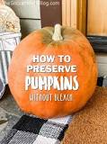 How do you preserve a pumpkin without bleach?