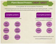 24 Best Veg Life Images Protein Chart Plant Based Diet