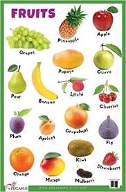 Buy Fruits Thick Laminated Primary Chart Book Online At