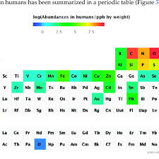 chemical elements in human body