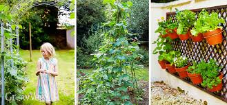 Guide To Easy Vegetable Gardening