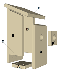 Bluebird House Plans Free Pdf