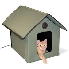Image result for Images-cat inside a hut