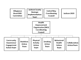 Organizational Chart Health Improvement Organization