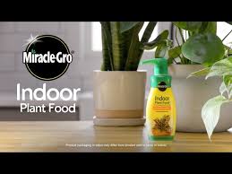 Miracle Gro Indoor Plant Food