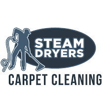 steam dryers carpet cleaning