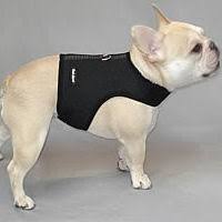 Wrap N Go Harness By Bark Appeal