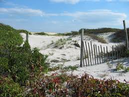 Island Beach State Park New Jersey