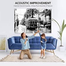 art acoustic panels cable car new