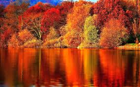 Image result for Images of autumn