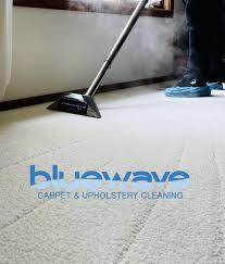 bluewave carpet upholstery cleaning