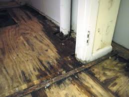 reasons for installing wood floors
