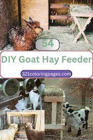 50 diy goat hay feeder plans how to