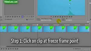 freeze the last frame in sony vegas pro